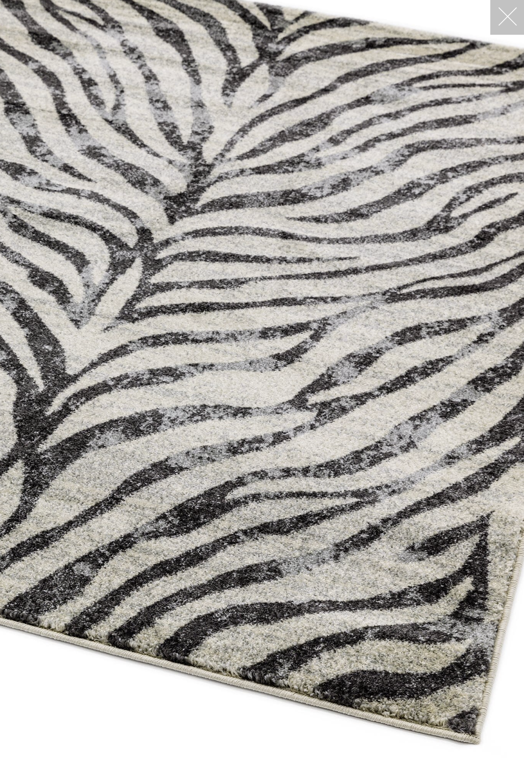Nova Zebra NV27 Rugs in Zebra Grey